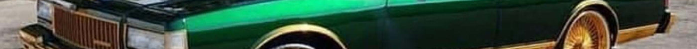 Candy Green Box Chevy (Caprice Classic) on 24in Gold Daytons and Vogues